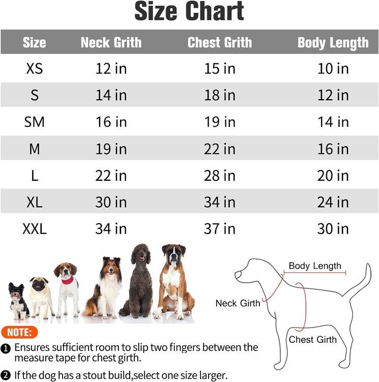 No. 10 - BINGPET Dog Hoodies - 2