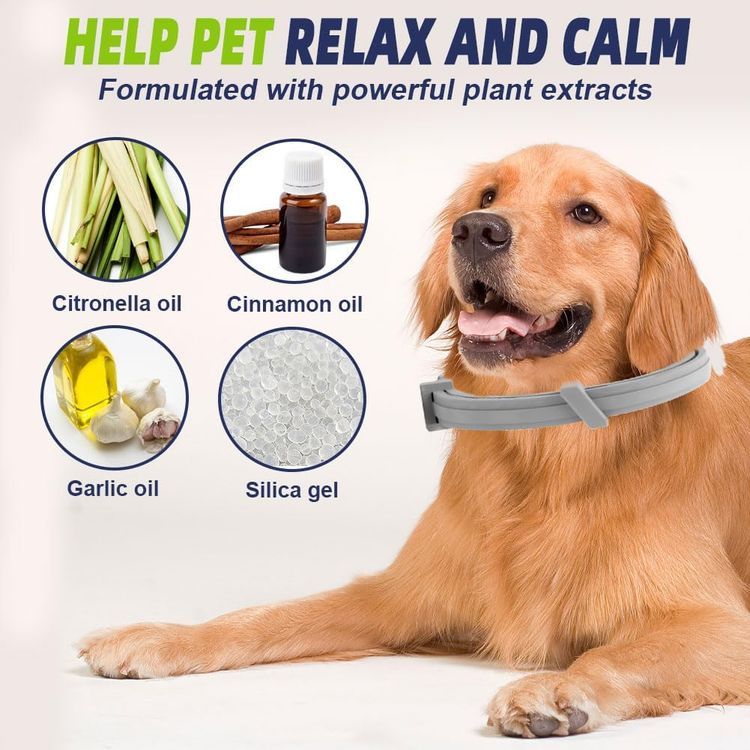 No. 10 - SEALUXE Dog Flea and Tick Collar - 5