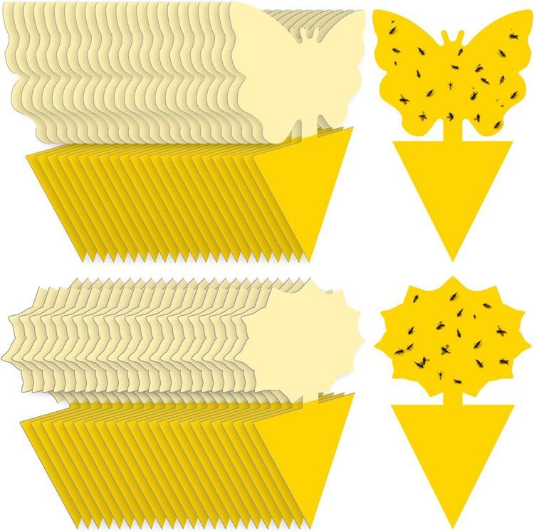 No. 10 - Landisun Fruit Fly Sticky Traps - 1