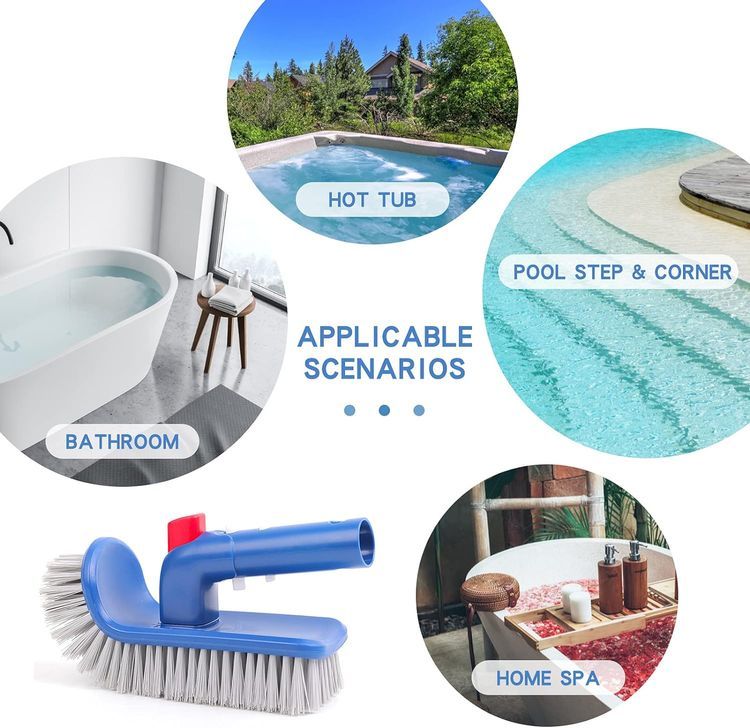 No. 8 - Sepetrel Pool Brush - 4