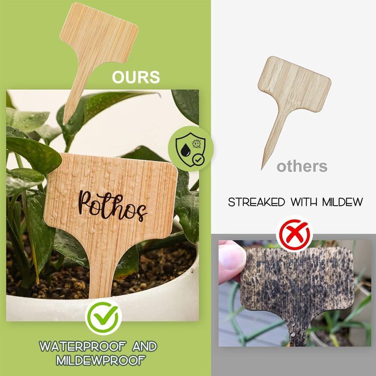 No. 6 - VITEVER Plant Labels - 3