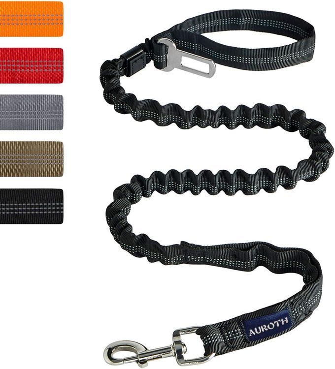 No. 10 - AUROTH Dog Leash - 1