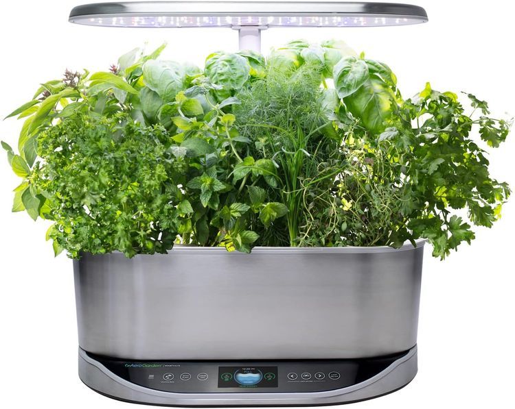 No. 3 - AeroGarden Gourmet Herb Seed Pod Kit - 4