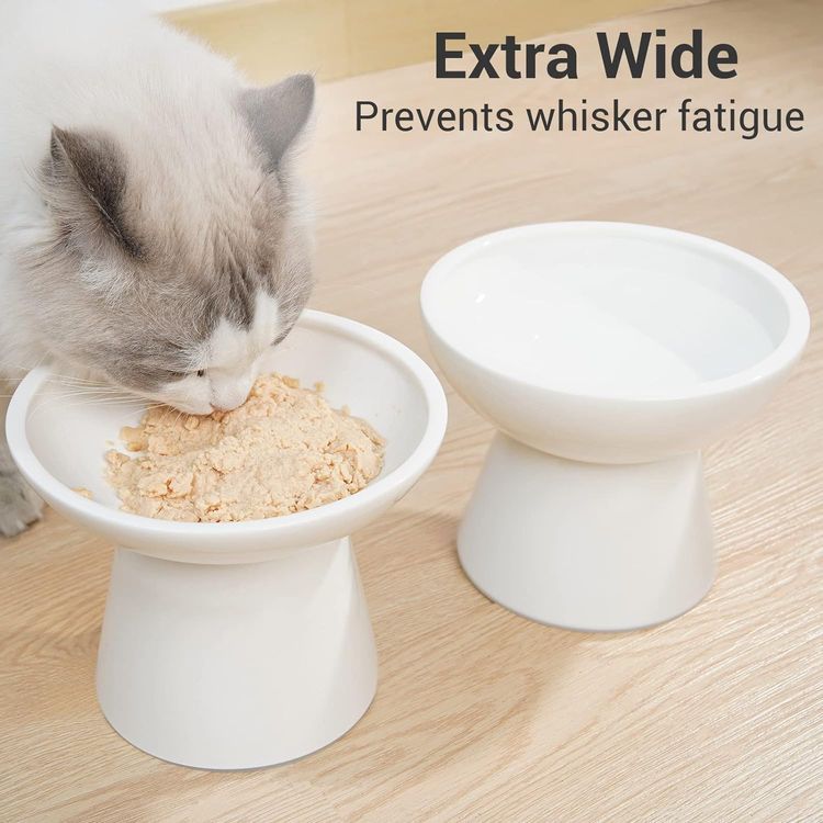 No. 10 - CEEFU Raised Cat Bowls - 2