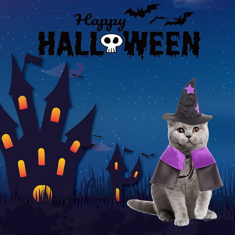 No. 10 - ADOGGYGO Cat Witch Costume - 2