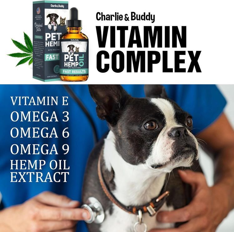 No. 1 - Charlie & Buddy Pet Hemp Oil - 5