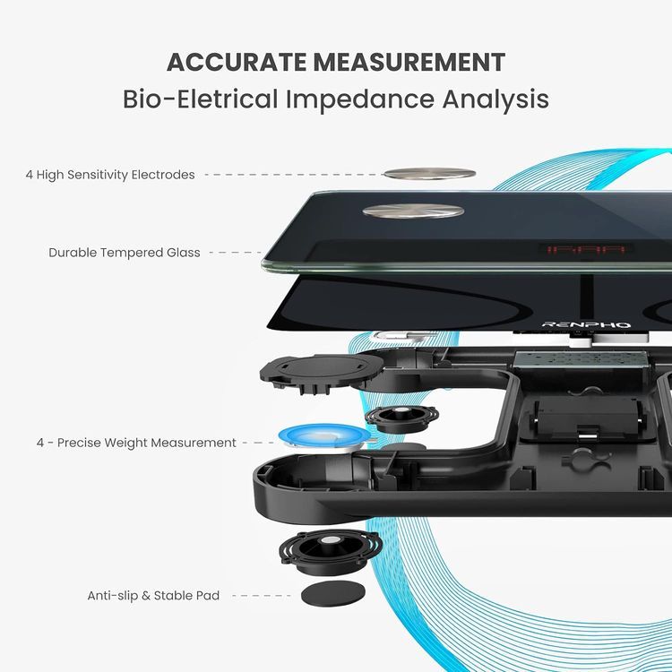 No. 8 - RENPHO Smart Scale - 5