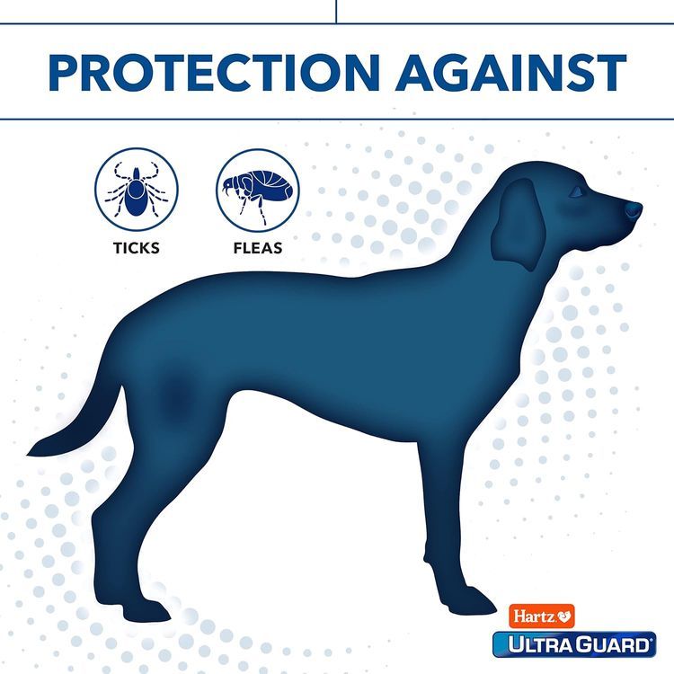 No. 4 - UltraGuard Flea Collar - 4