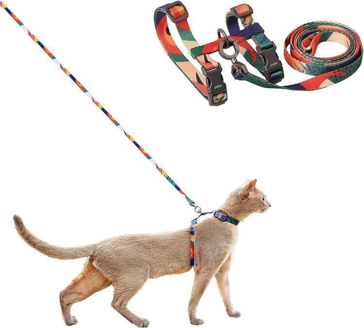 No. 4 - pidan Cat Harness - 1