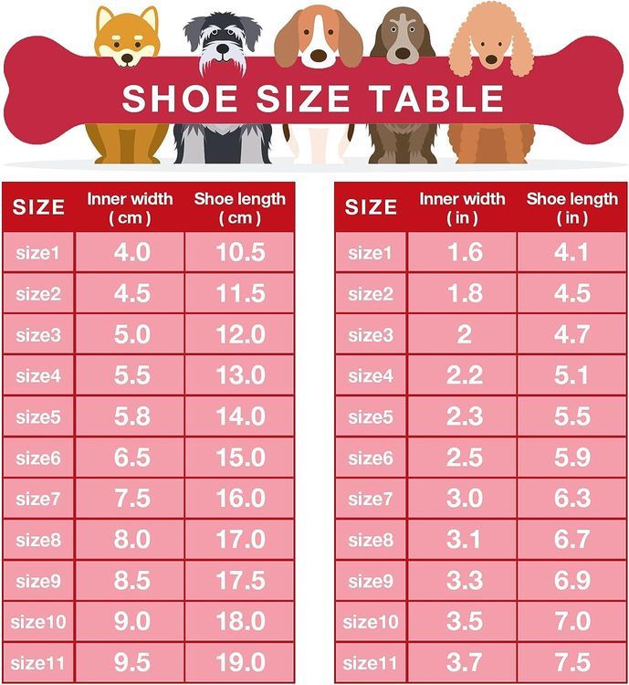 No. 8 - XSY&G Dog Shoes - 4