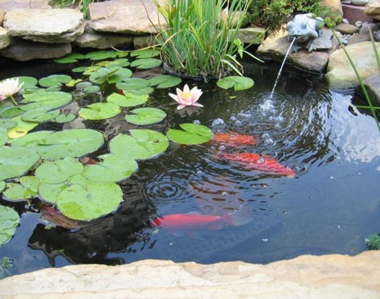 No. 3 - UWIOFF 10 x 13 Feet Pond Liner - 3