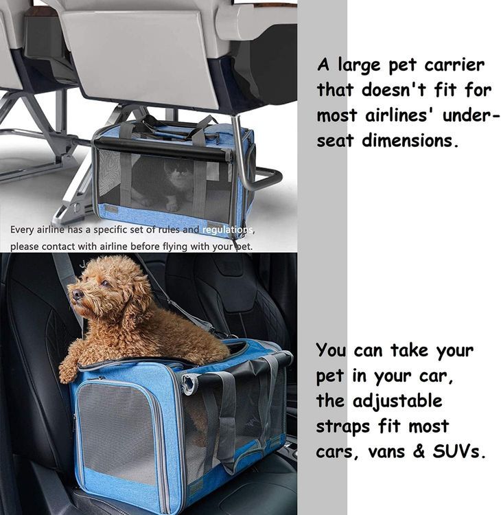 No. 10 - GAPZER Pet Carrier for Large and Medium Cats - 5