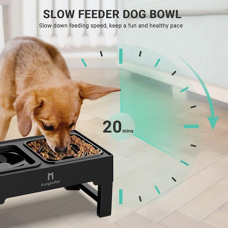 No. 8 - KungFuPet Elevated Dog Bowls - 3