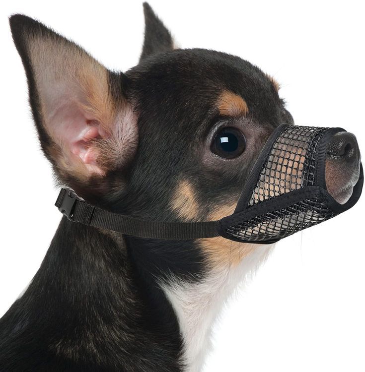 No. 2 - Mayerzon Soft Mesh Dog Muzzle - 1