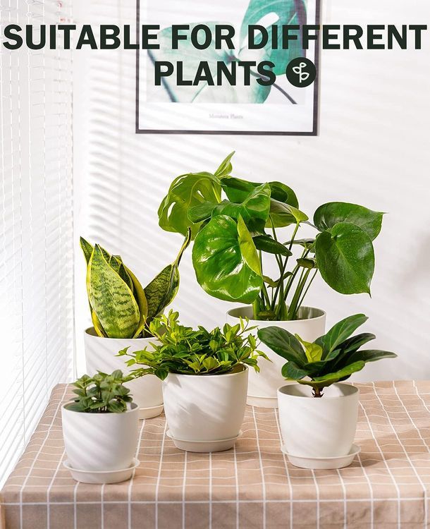 No. 2 - HOMENOTE Plastic Planters - 5