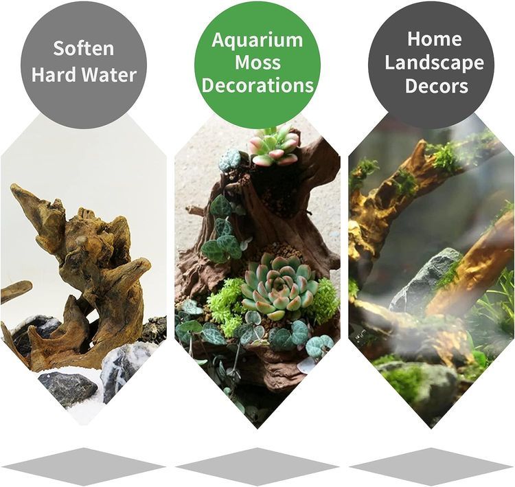 No. 7 - 5Pcs Driftwood Branches Aquarium Wood Decoration - 5