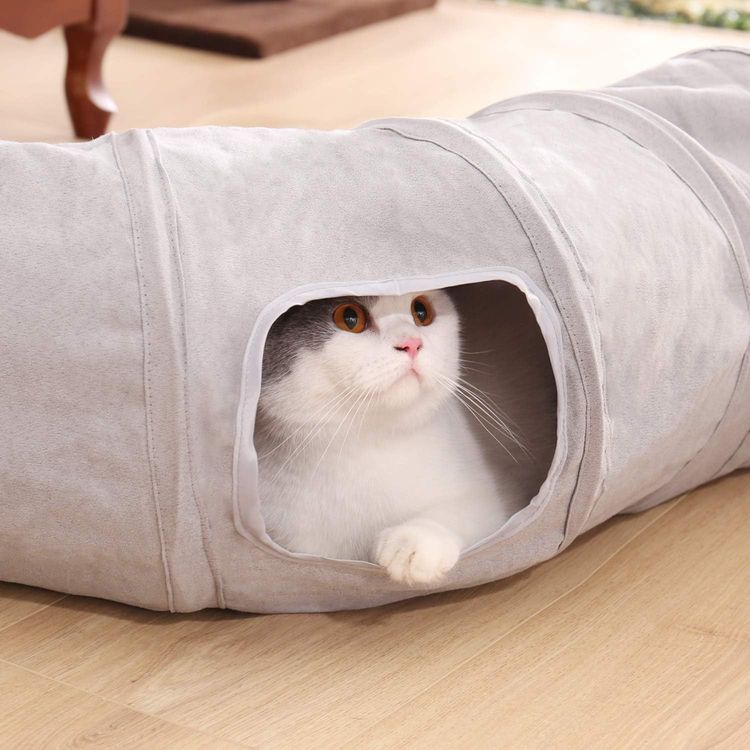 No. 6 - PAWZ Road Cat Tunnel - 4