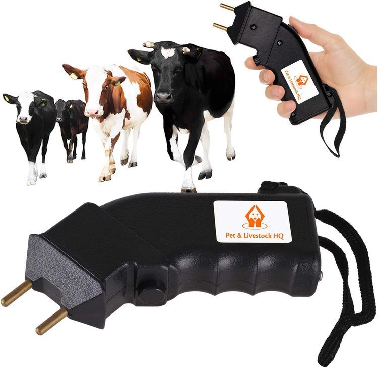 No. 10 - Pet & Livestock HQ Cattle Prod - 1