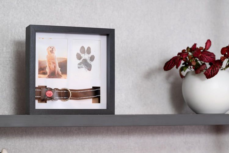 No. 9 - Pet Memorial Picture Frame - 3