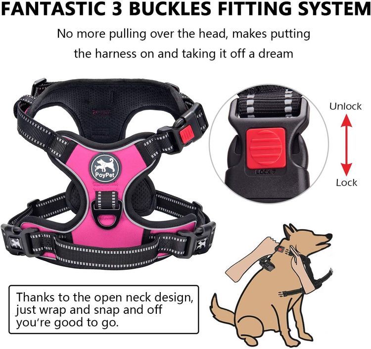 No. 8 - PoyPet No Pull Dog Harness - 2