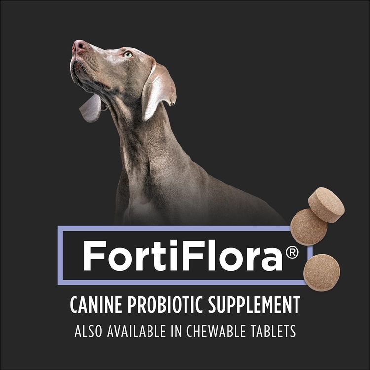 No. 8 - Purina Fortiflora Probiotics for Dogs - 4