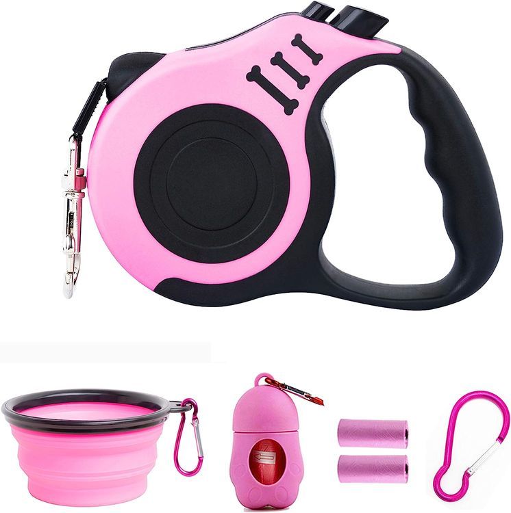 No. 10 - Retractable Leash - 1