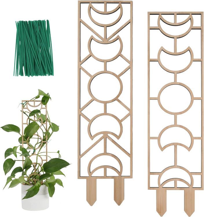 No. 4 - WellSign Plant Trellis for Climbing Plants Indoor Pot, 16.3 inch Small Wooden Trellis 2 Pack - 1