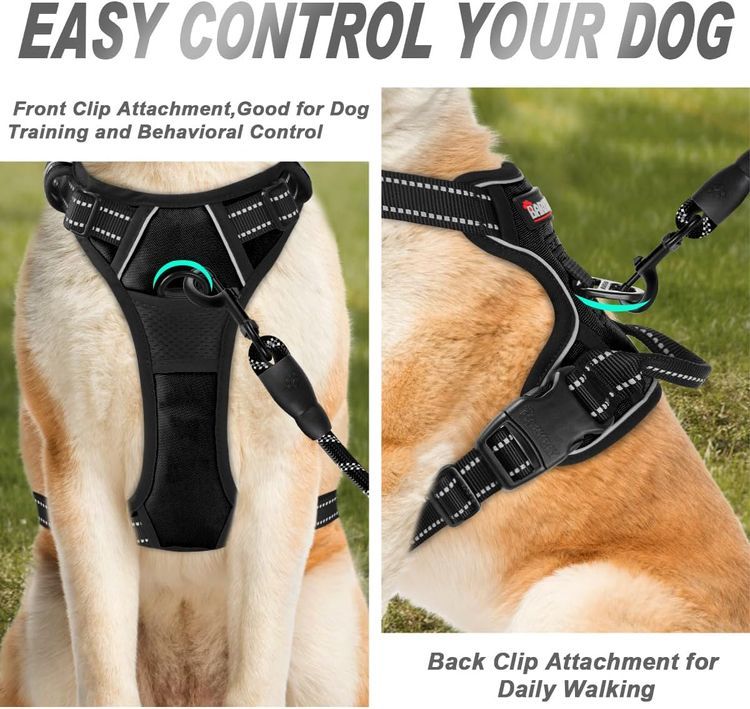 No. 10 - BARKBAY No Pull Dog Harness - 2