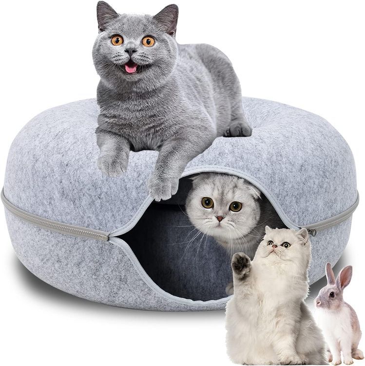 No. 5 - Cat Tunnel Bed - 1