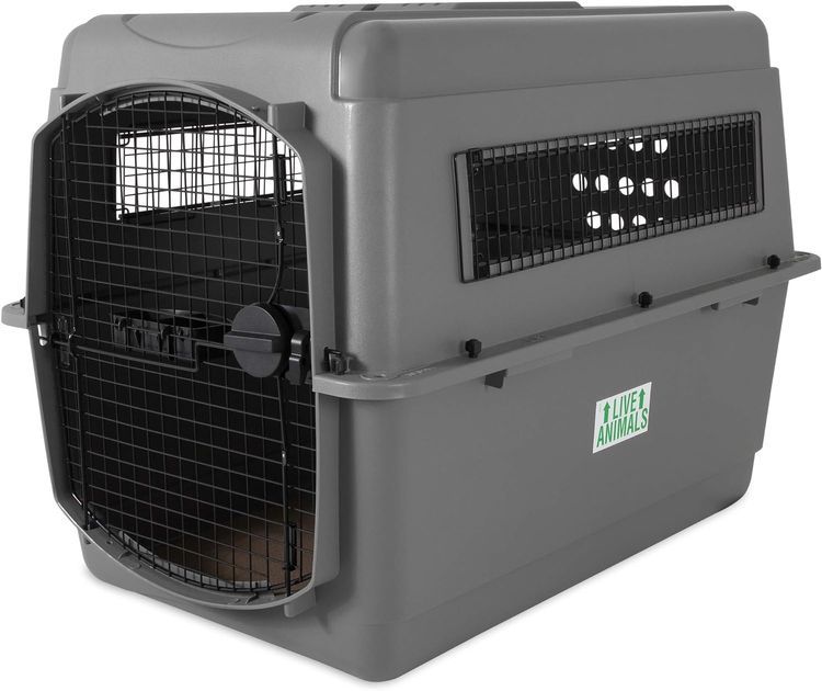 No. 1 - Petmate Sky Kennel Pet Carrier - 1