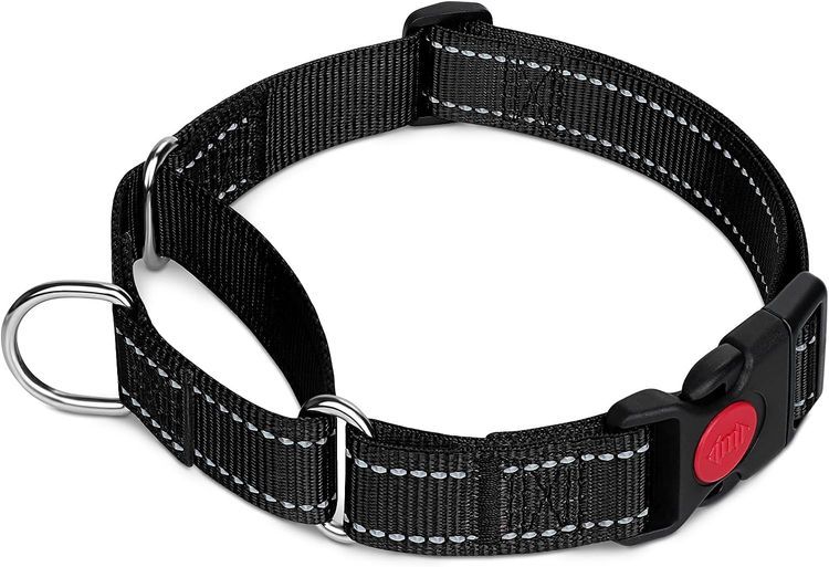 No. 6 - Joytale Martingale Collar - 1