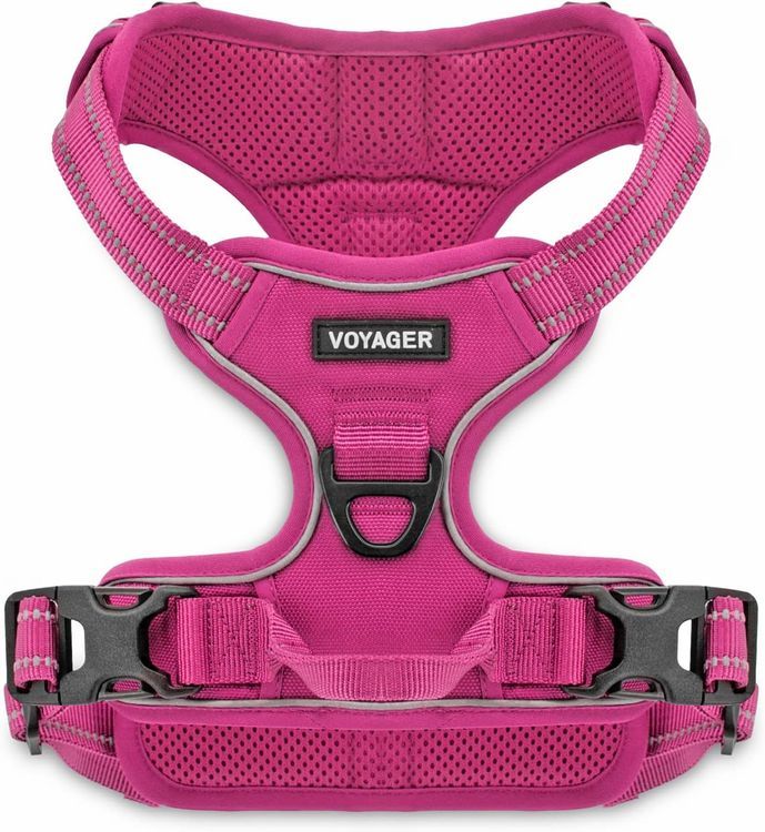 No. 10 - Voyager Dog Harness - 1