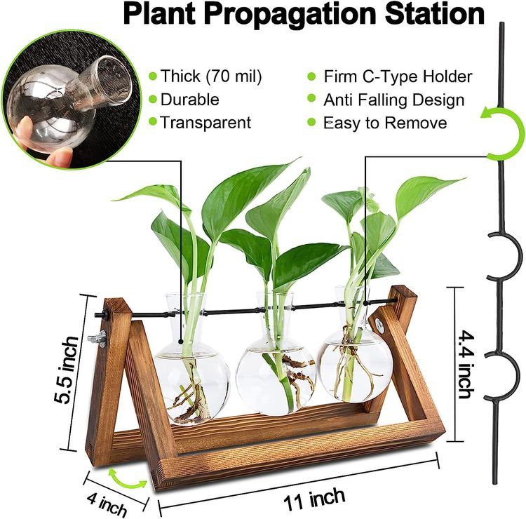 No. 2 - Plant Propagation Station - 5