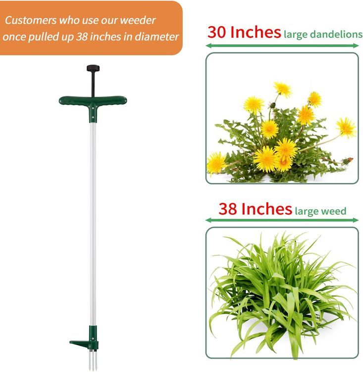 No. 8 - Walensee Manual Weed Puller - 4