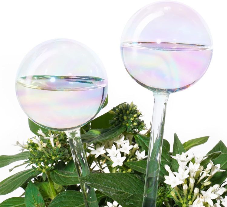 No. 2 - Light Iridescent Rainbow Gradient Color Clear Glass Self-Watering System Spikes - 1