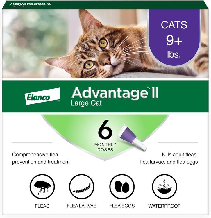 No. 1 - Advantage II Large Cat Flea Treatment & Prevention - 1