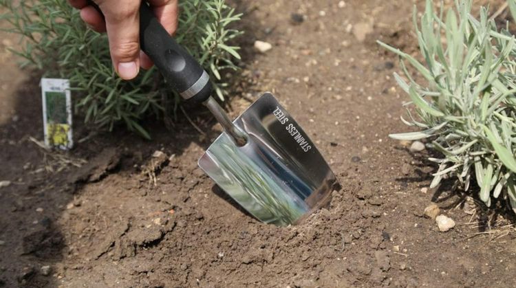 No. 9 - Bend-proof Garden Trowel - 3