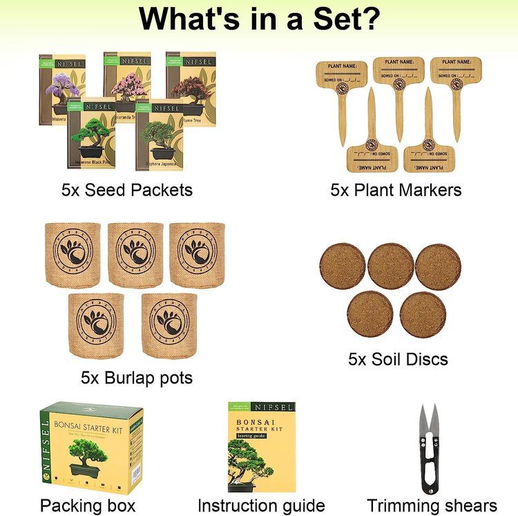 No. 2 - NIFSEL Bonsai Tree Kit - 3