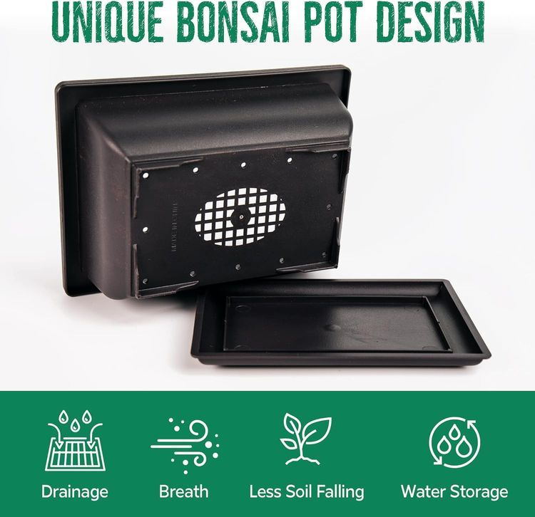 No. 1 - REALPETALED Bonsai Tree Kit - 5