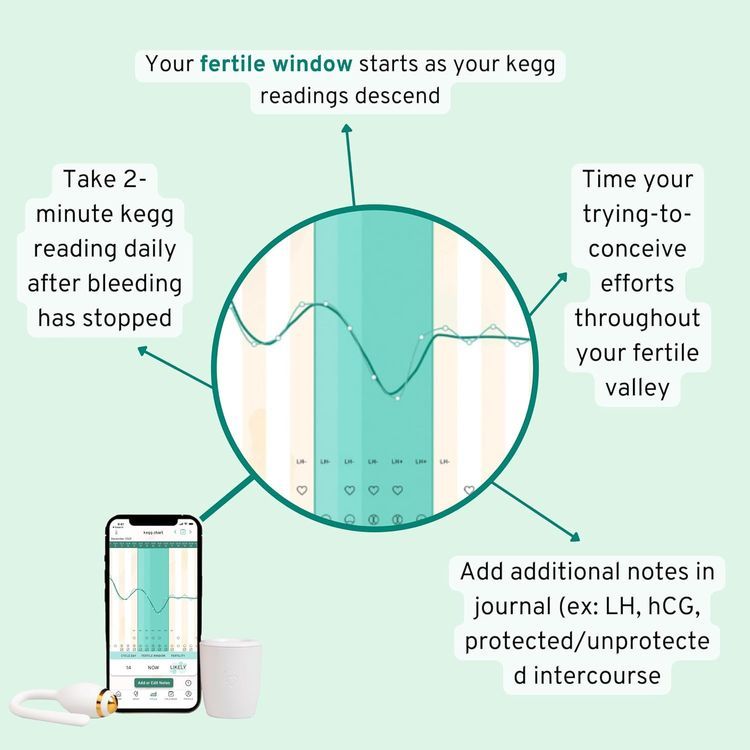 No. 8 - kegg Fertility Tracker - 5