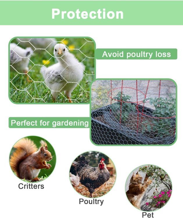 No. 8 - Garden Poultry Chicken Wire Netting - 4