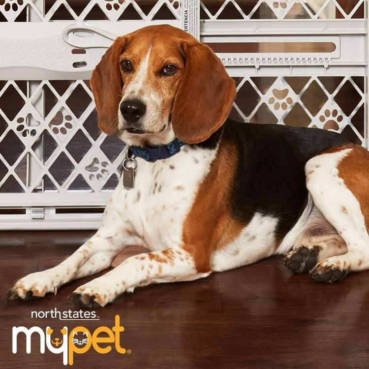 No. 6 - North States MyPet 2 Bar Extension for Tall Petgate Passage - 5