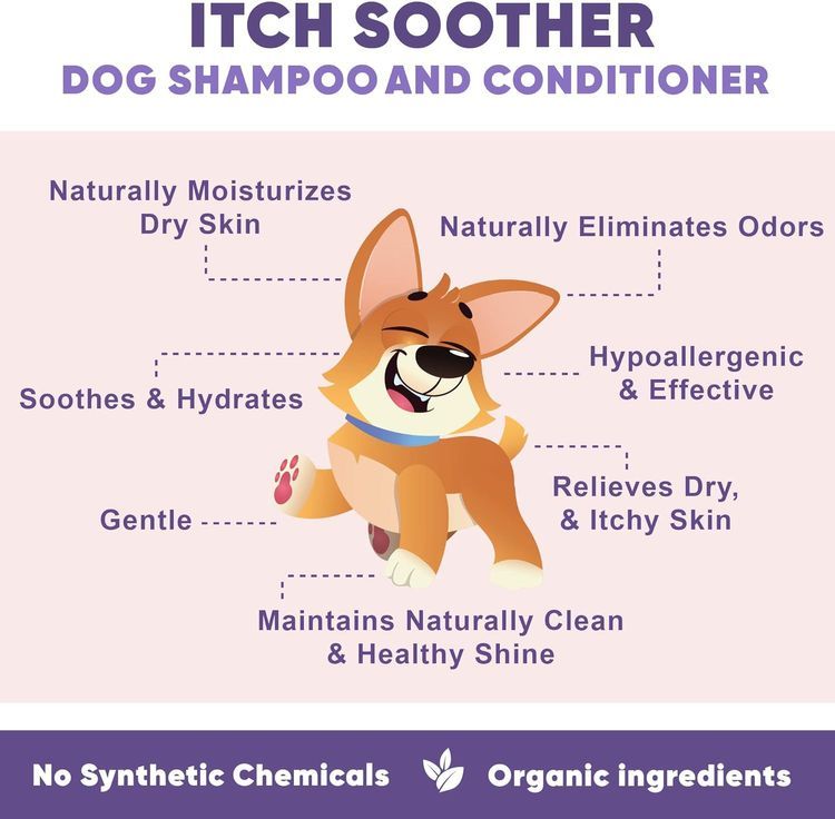 No. 4 - Pawtitas Dog Shampoo and Conditioner - 3