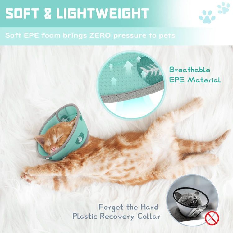 No. 7 - Supet Cat Recovery Collar - 3