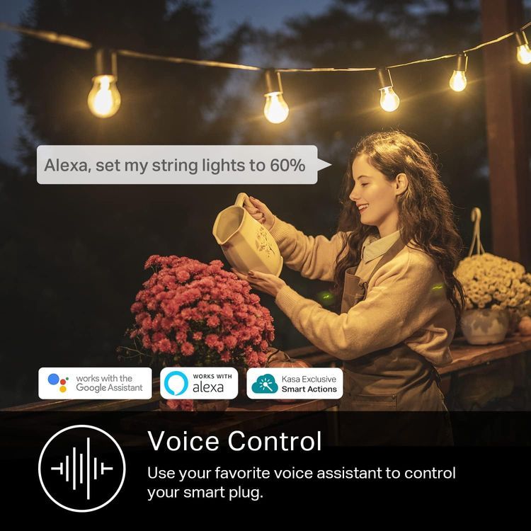 No. 2 - Outdoor Smart Plug - 5