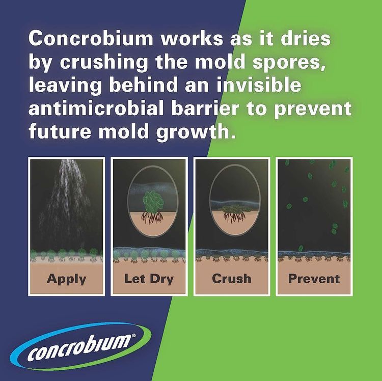 No. 8 - Concrobium Mold Control Spray - 4