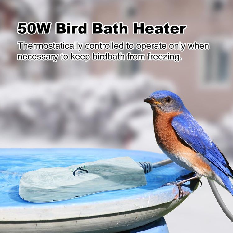 No. 8 - GESAIL Bird Bath Heater - 3