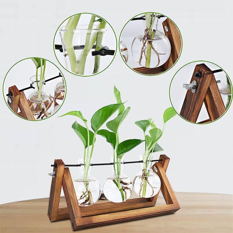 No. 2 - Plant Propagation Station - 4