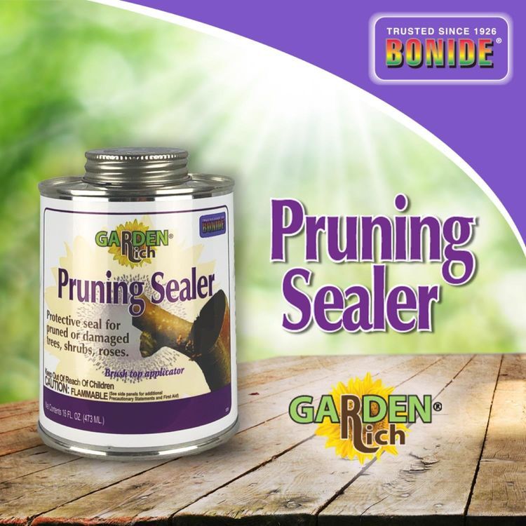 No. 1 - Bonide Pruning Sealer - 5