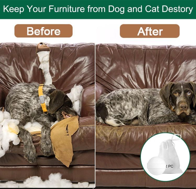 No. 8 - Daioloes Cat Repellent Spray - 3
